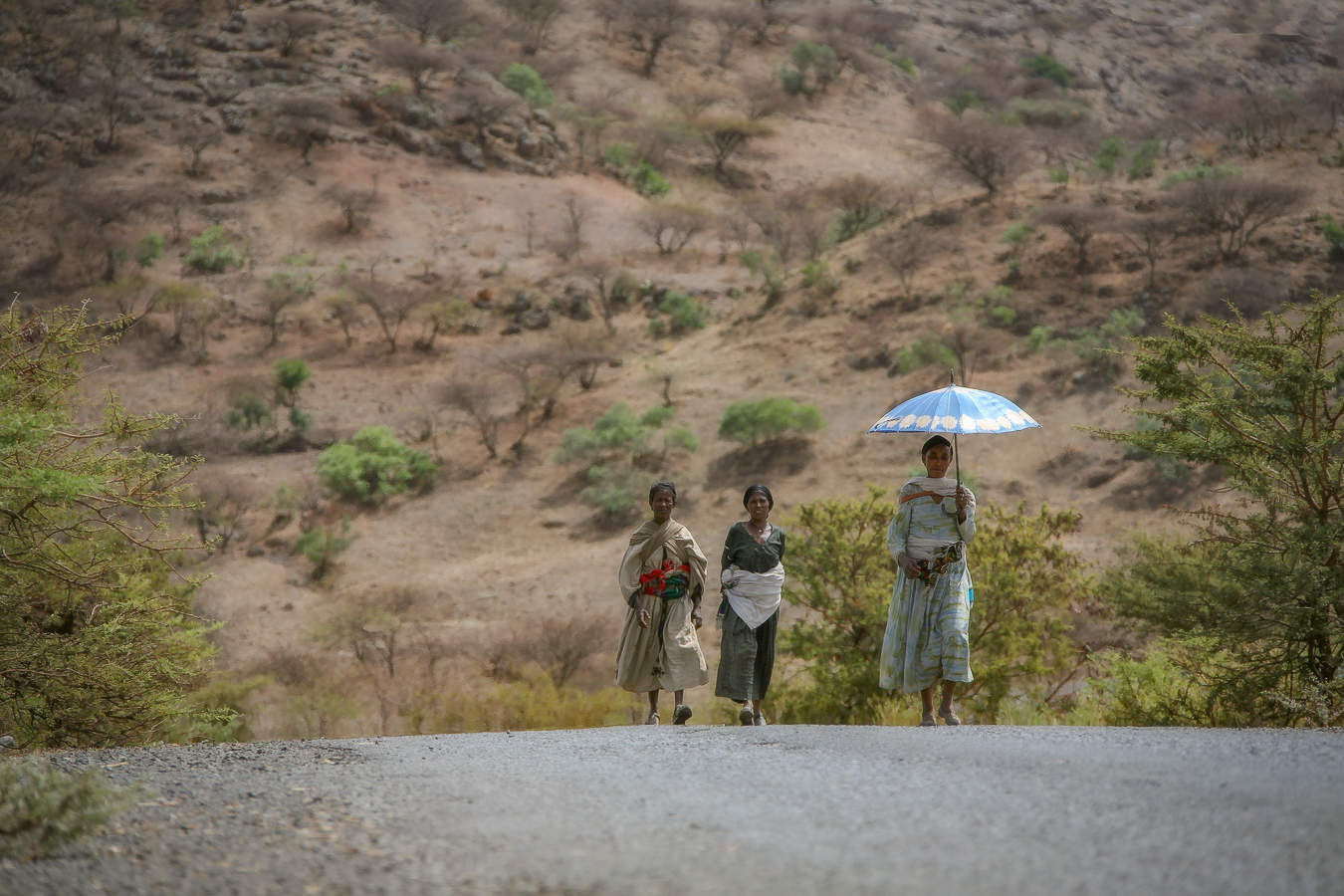 Знойный полдень