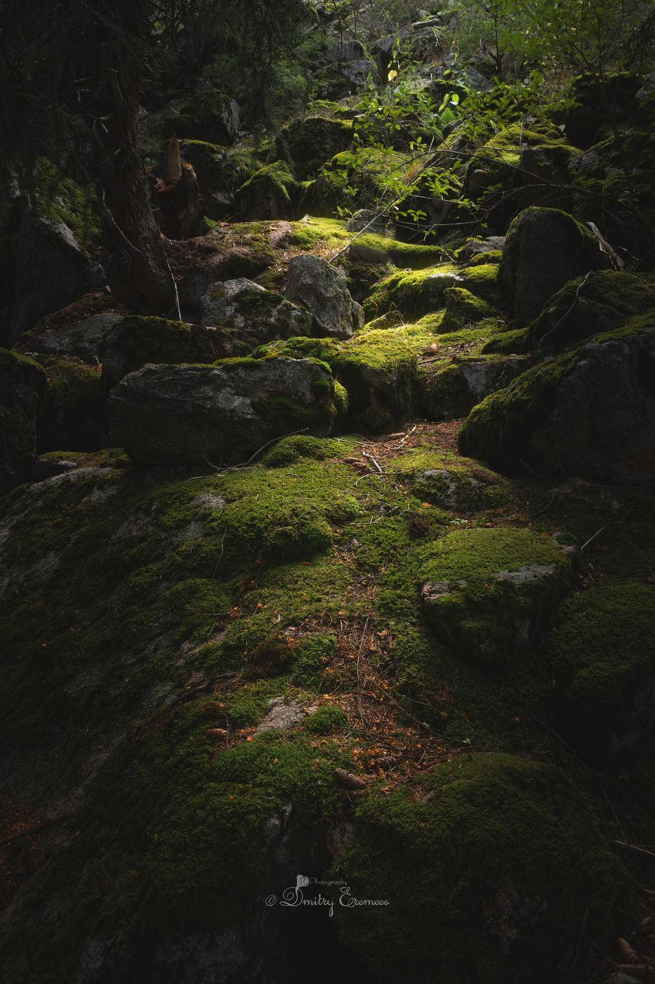 Последний свет...