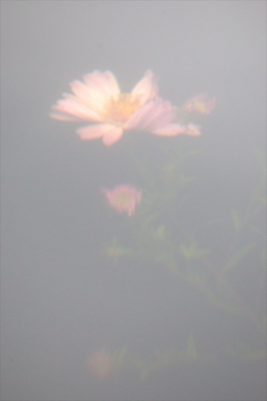 Жизнь вокруг