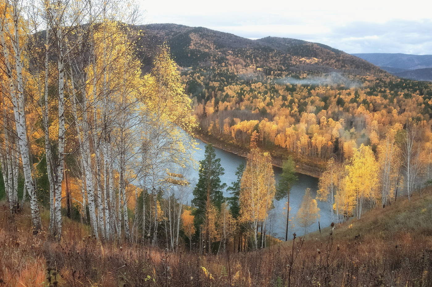 Золотая пора