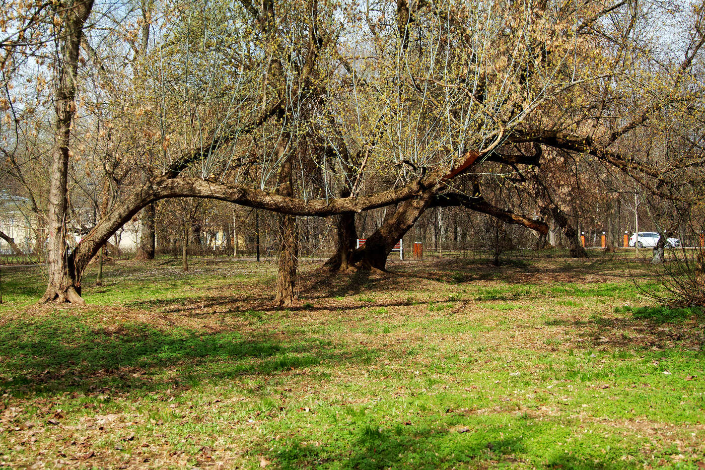 Люблинский парк