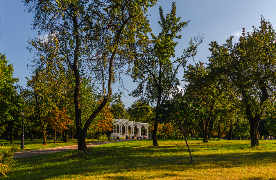 Осень в Лошицком парке