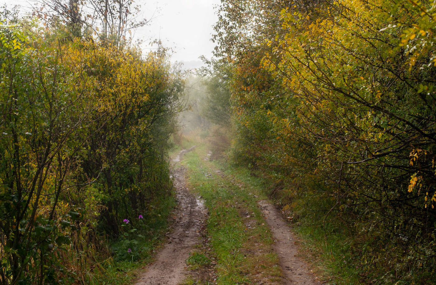 Осенняя дорога