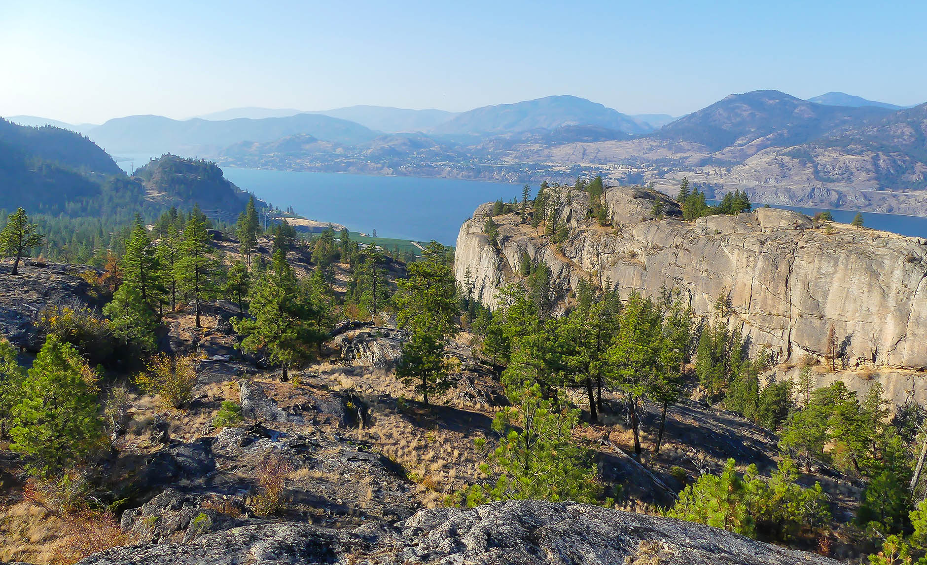 Утренние прогулки