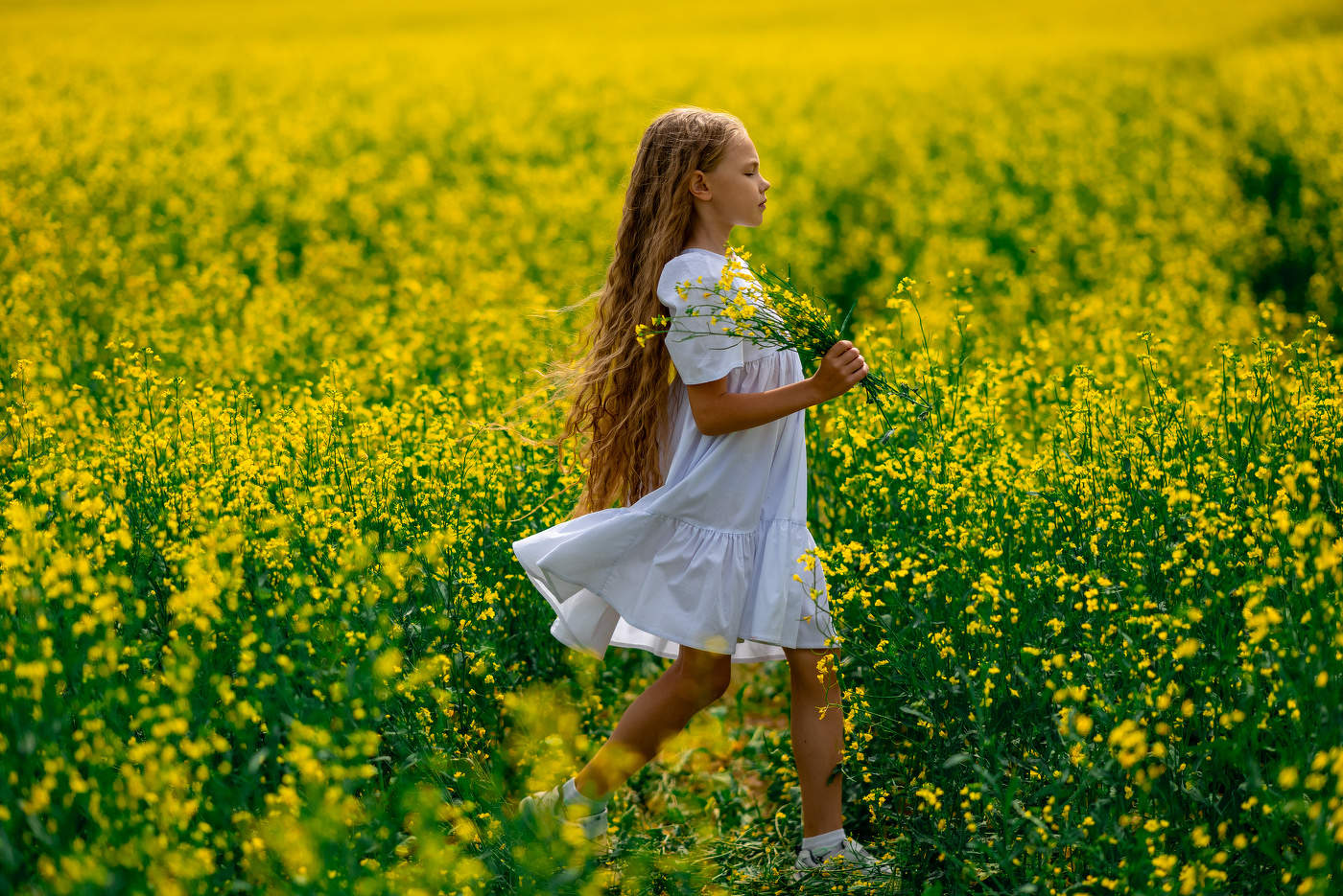 Поля в поле