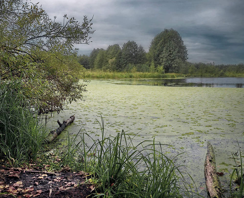 Вот и лето прошло.