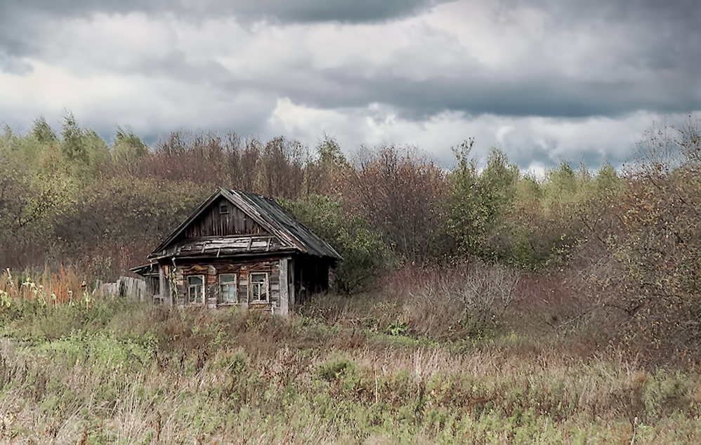 Лесное общежитие.