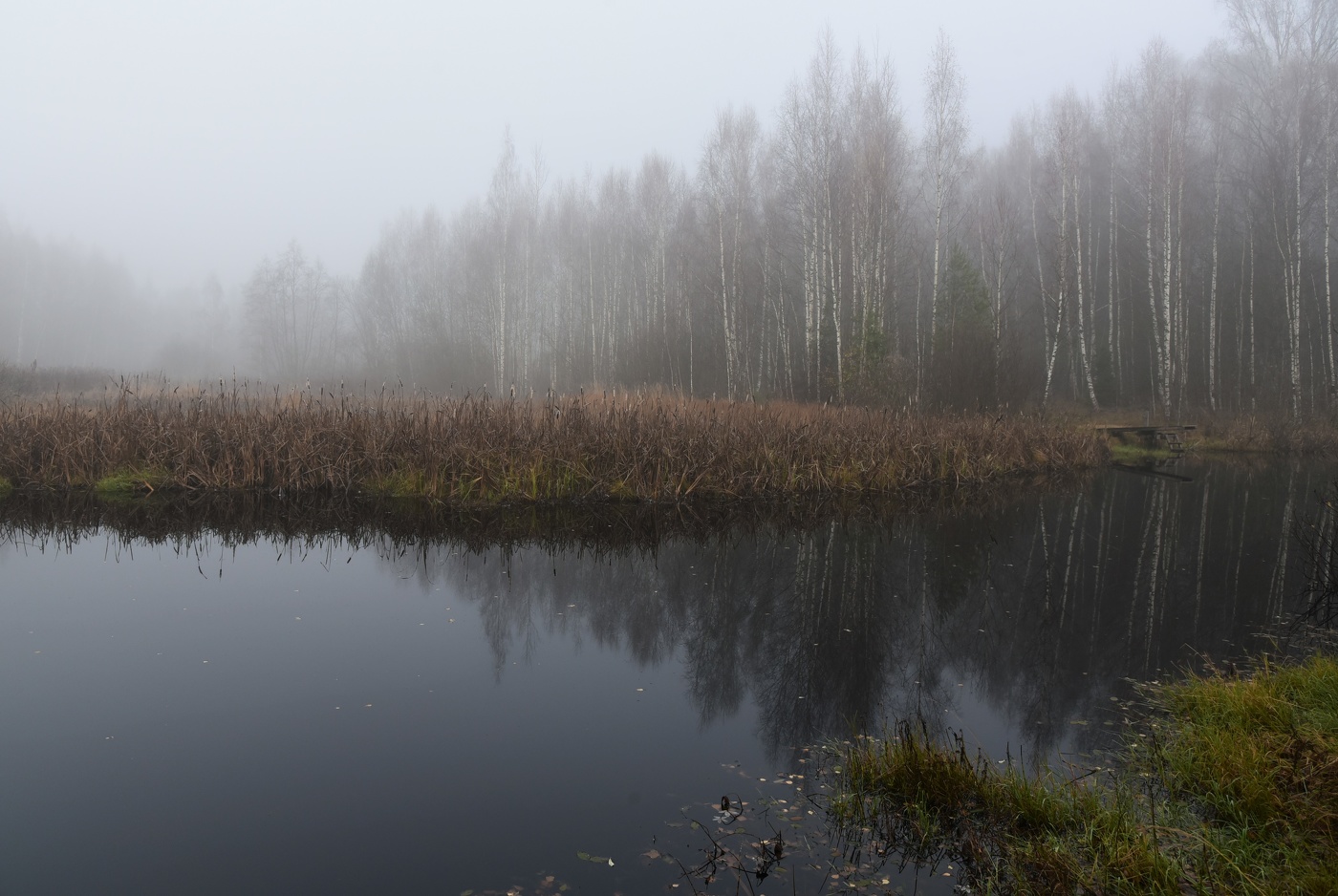 Осеннее утро на лесном озере ...