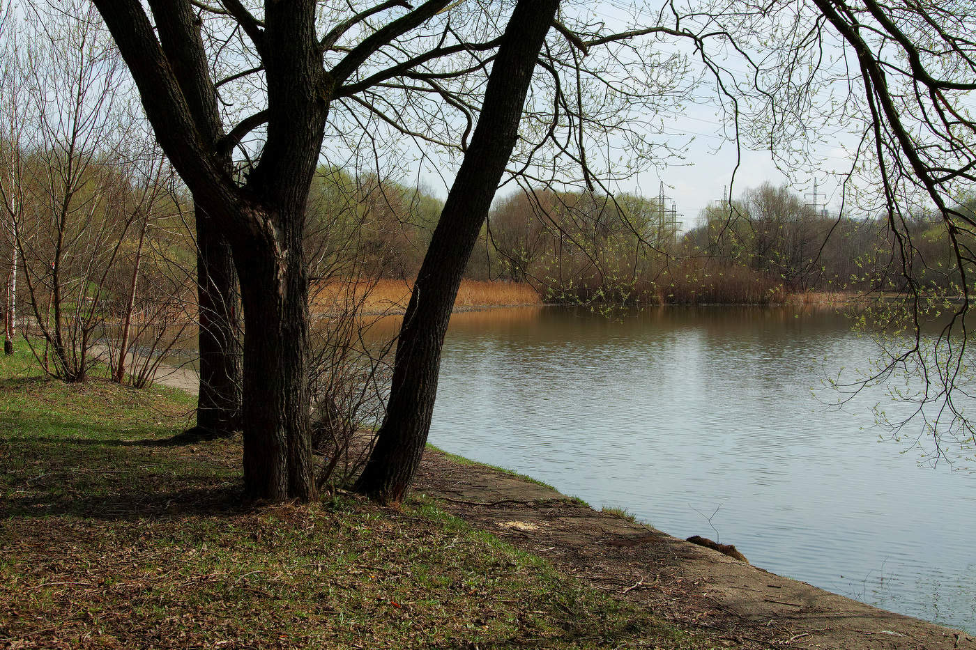 Люблинский пруд