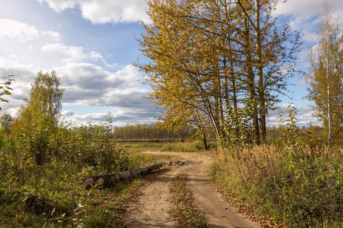 Сентябрь уходит...