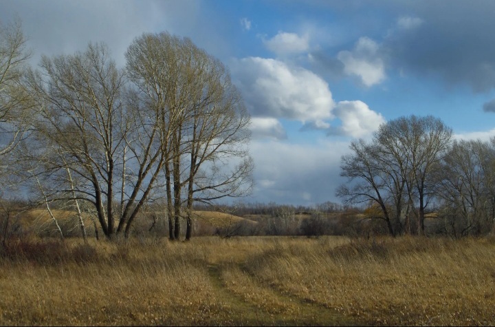 осень настала