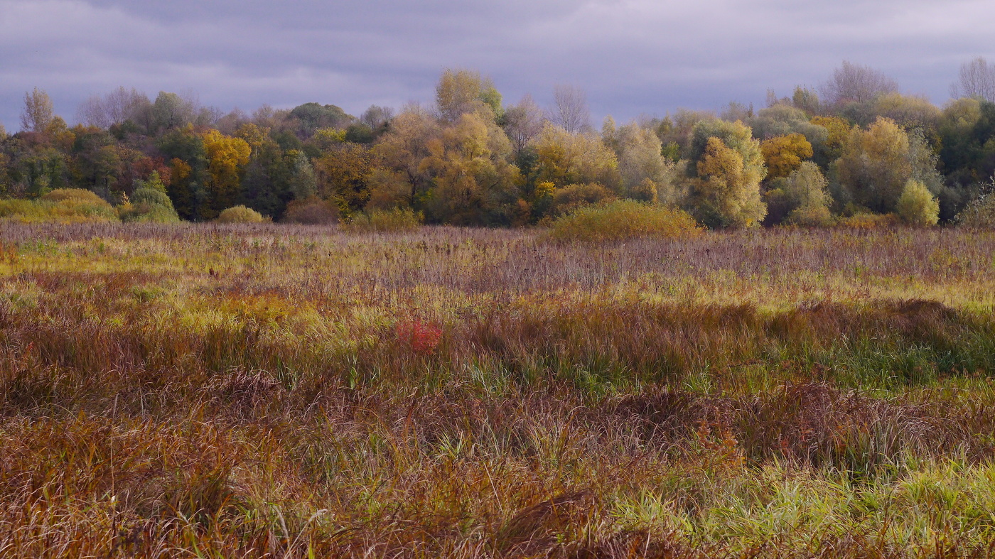 Настроение-осень.