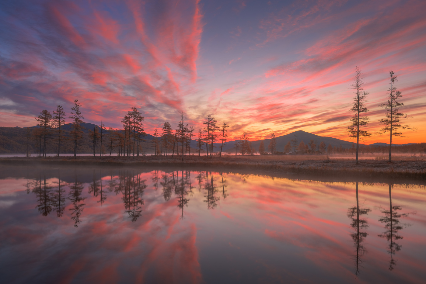 Две сестры и остальные...