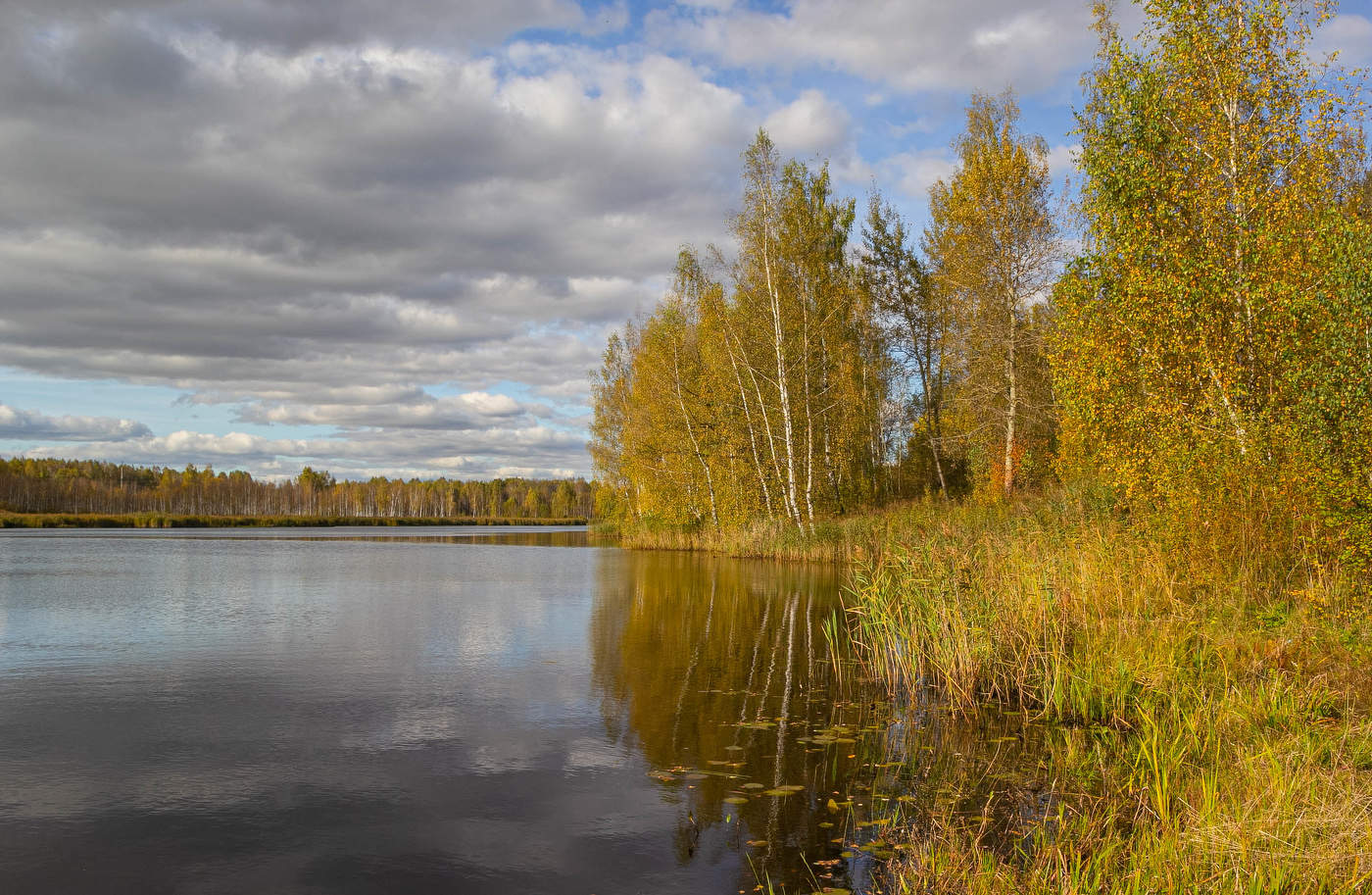 Пора золотая