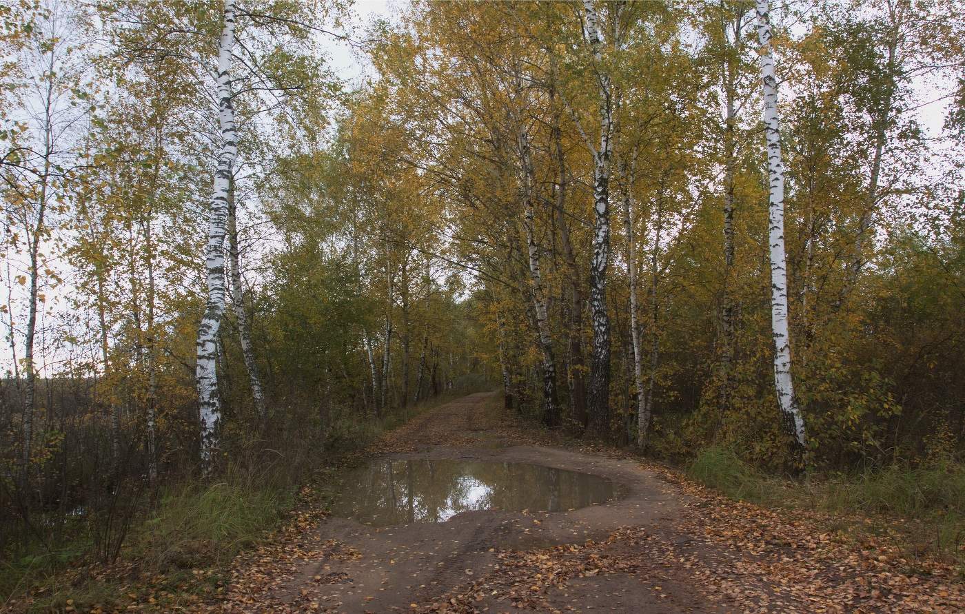 Скромная осень