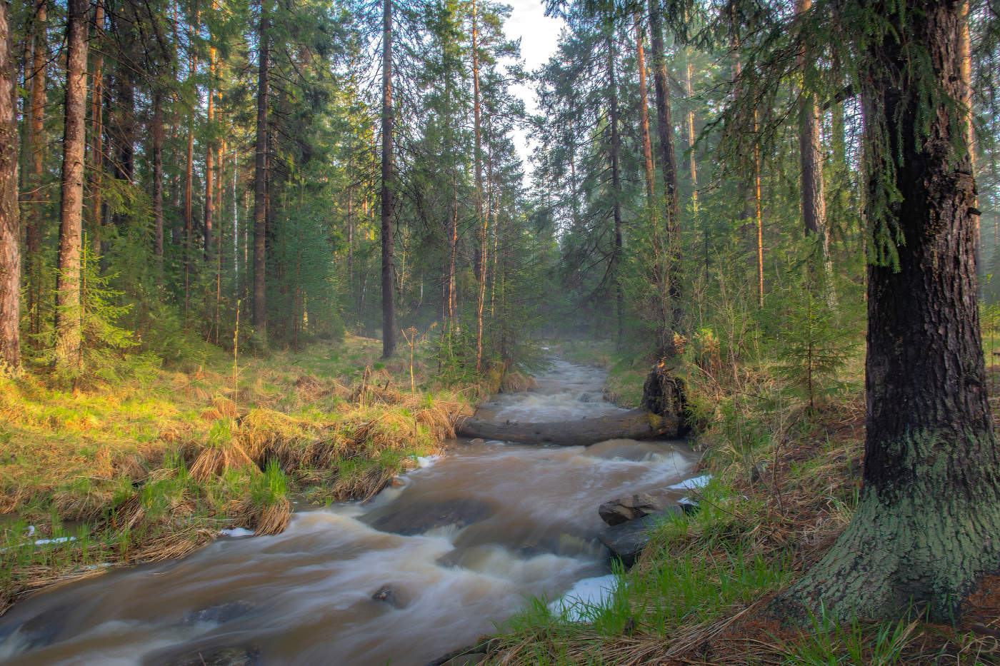 В осеннем лесу