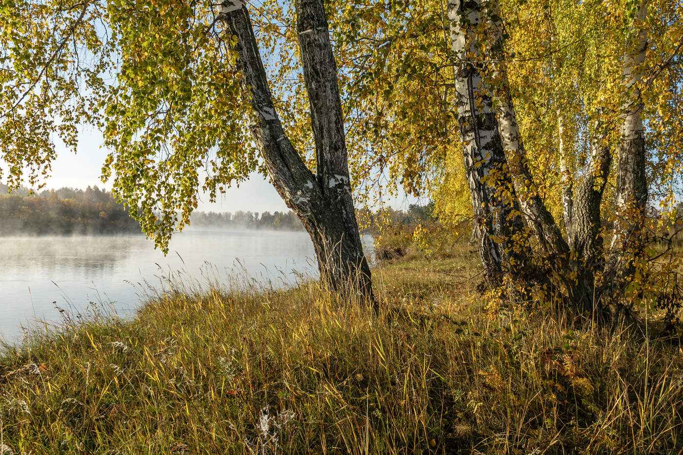 Утро сентября