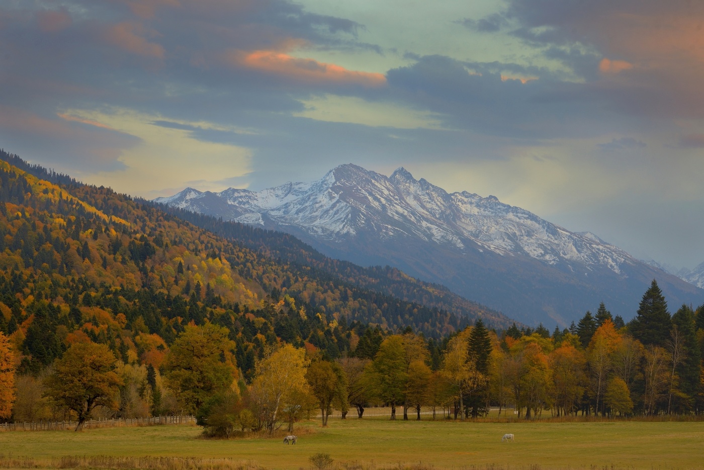 Осеннее утро