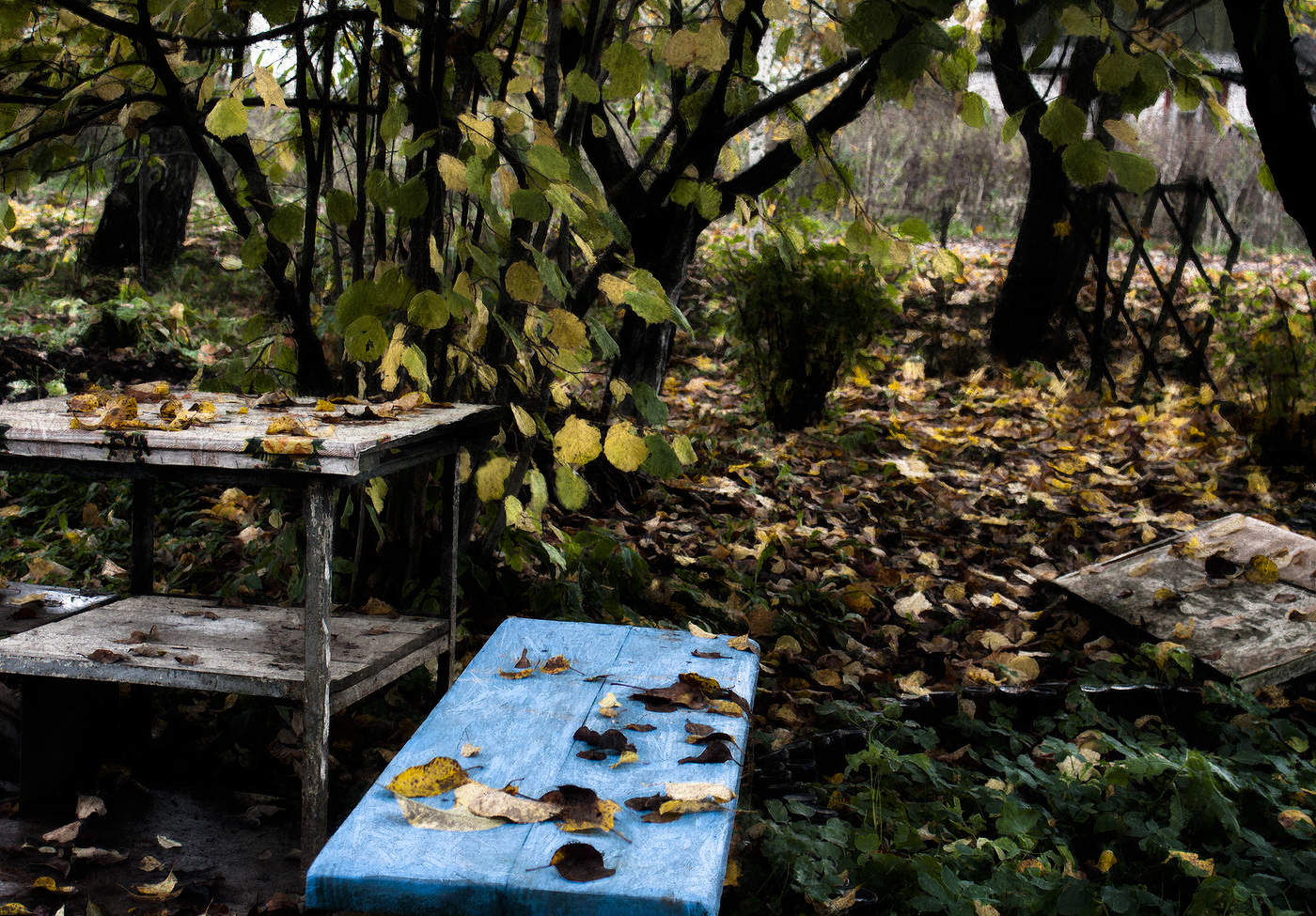 Октябрь обнаженный.