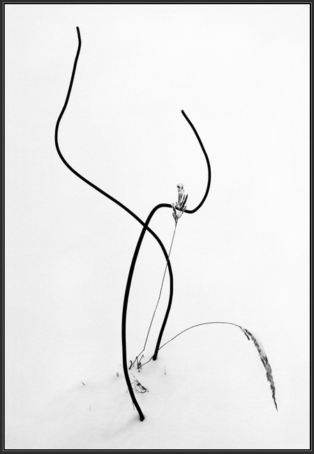 зимняя композиция