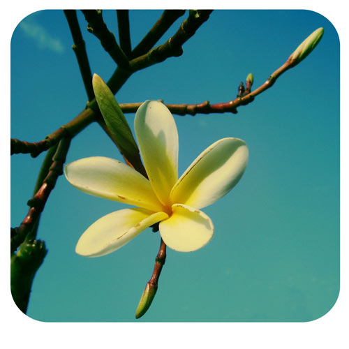 небо над Ченнаем