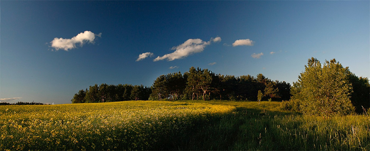 .......Тихий вечер......