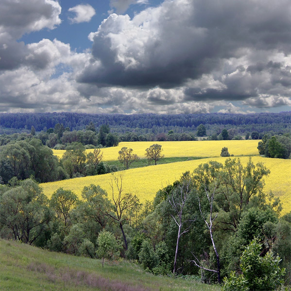 Рапсодия. Фрагмент.
