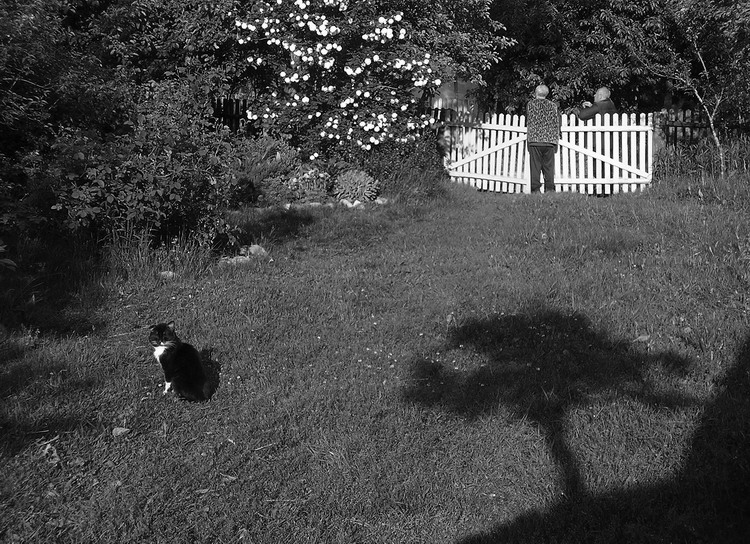 вечер в деревне