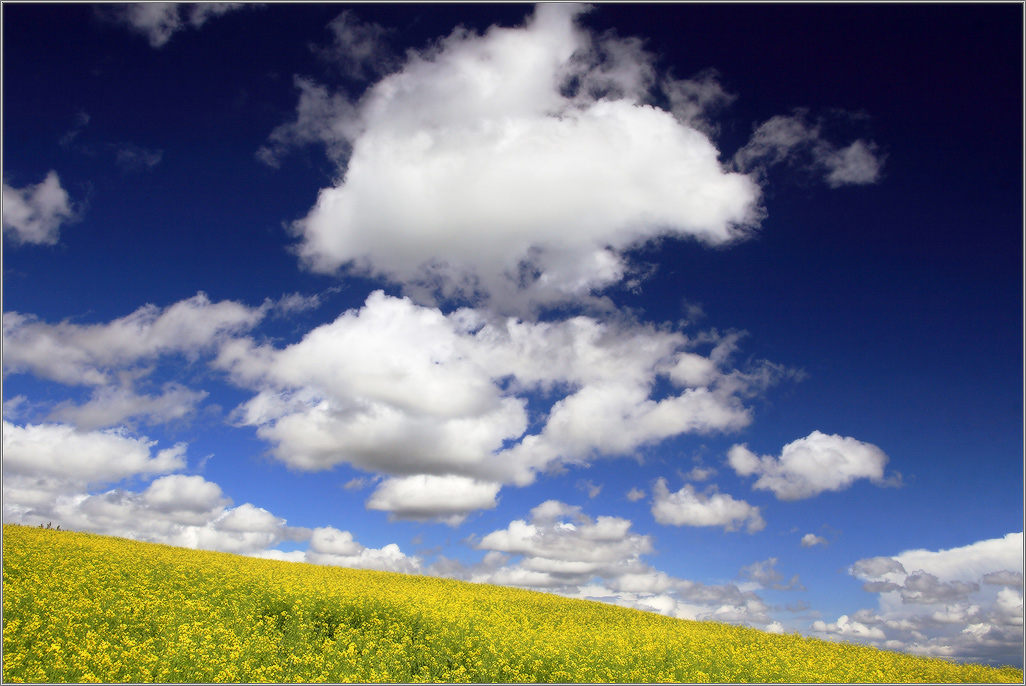 штормовая рапсодия