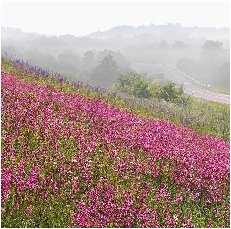 Синий  туман ,похож на обман.