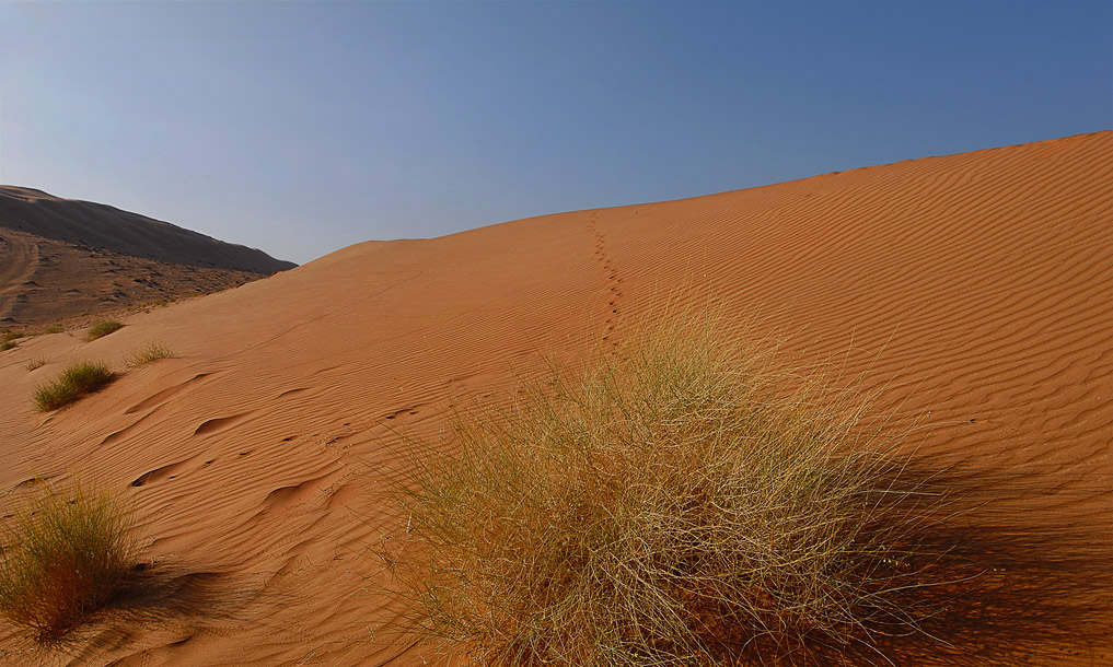 Цвет и линия VII