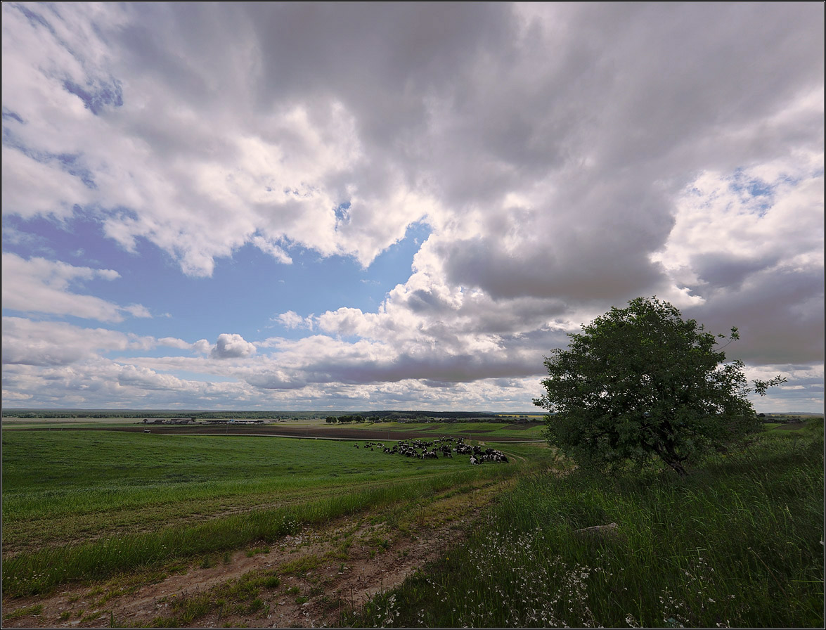 Молочные просторы