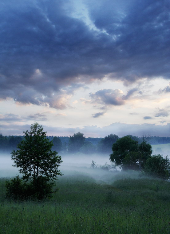 Вечерняя...туманная...