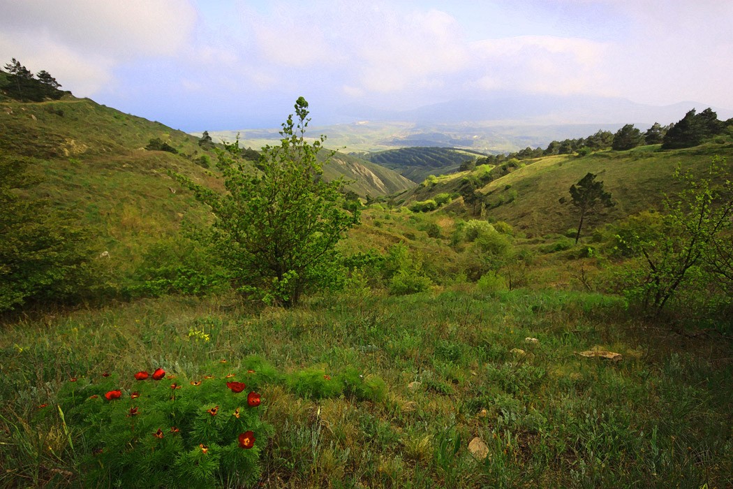 Крымская зарисовка