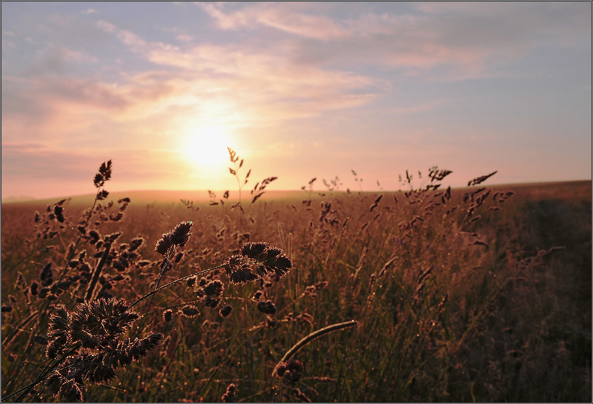 От росы серебрянной проснуться