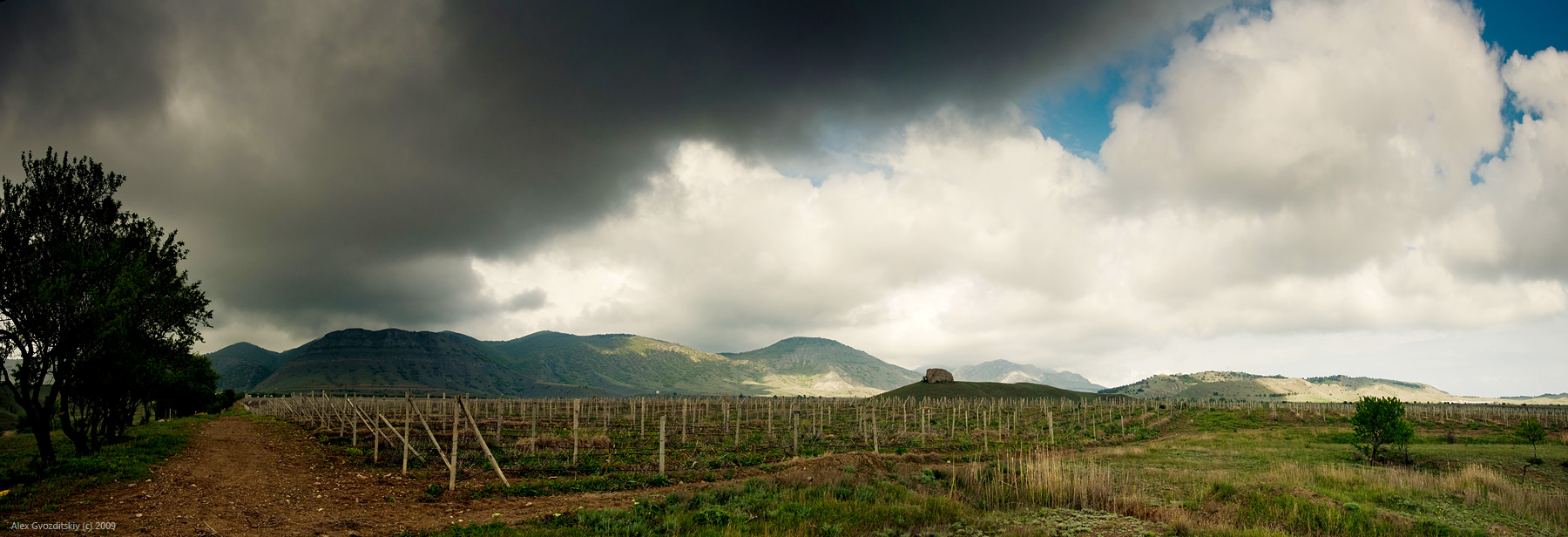 Виноградники Солнечной долины
