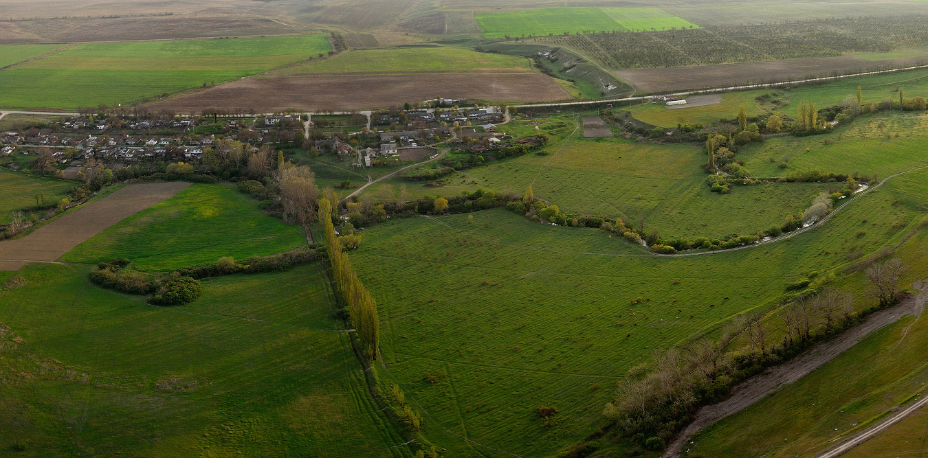 С высоты птичьего полета