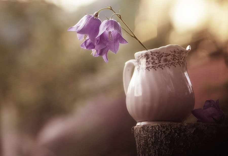 Колокольчик