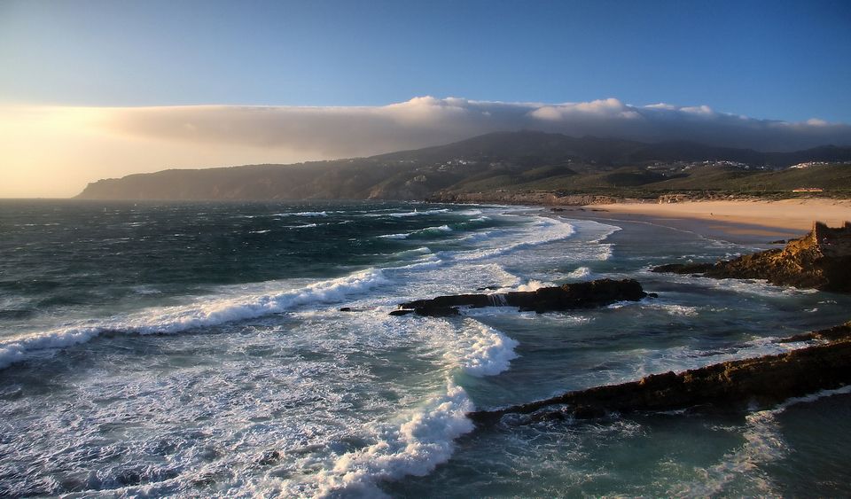 В своей среде.