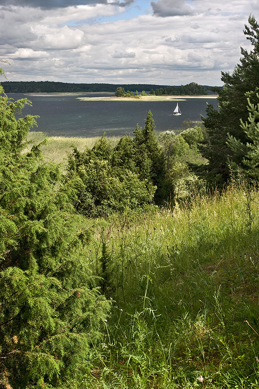 браславская