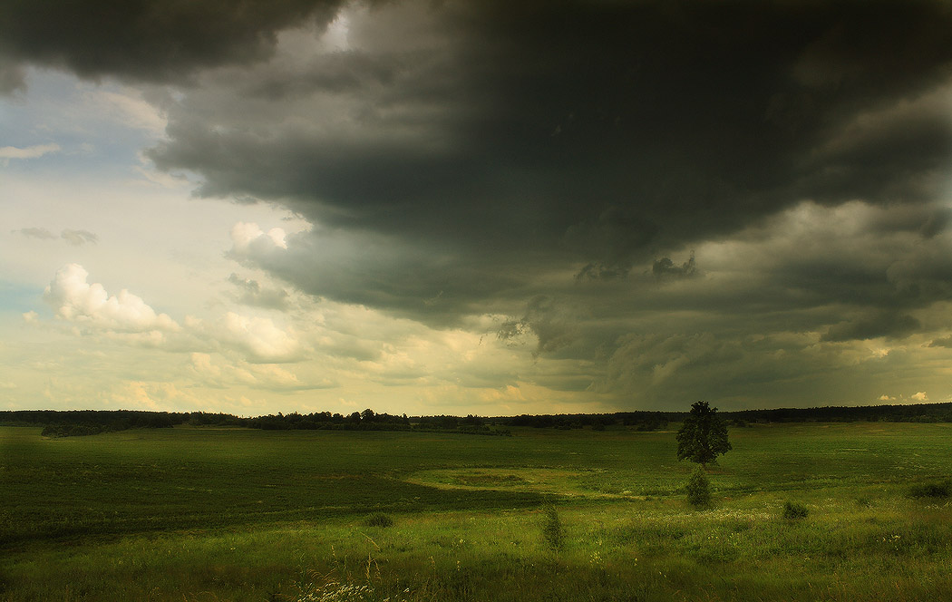 Дорожная зарисовка