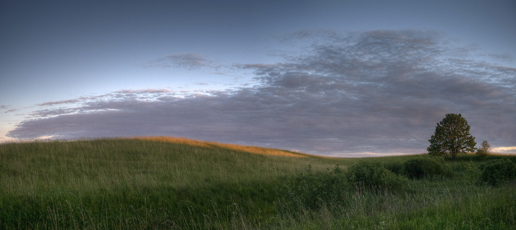 Одиноко стоящее