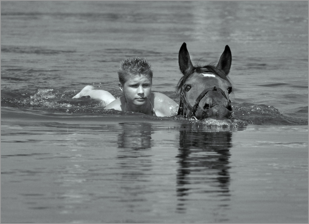 купание рыжего коня