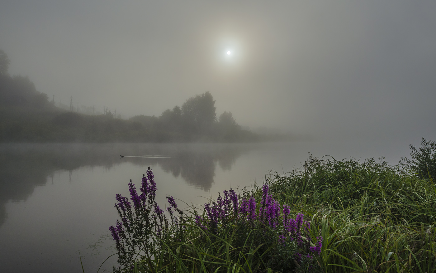 Утро уходящего лета