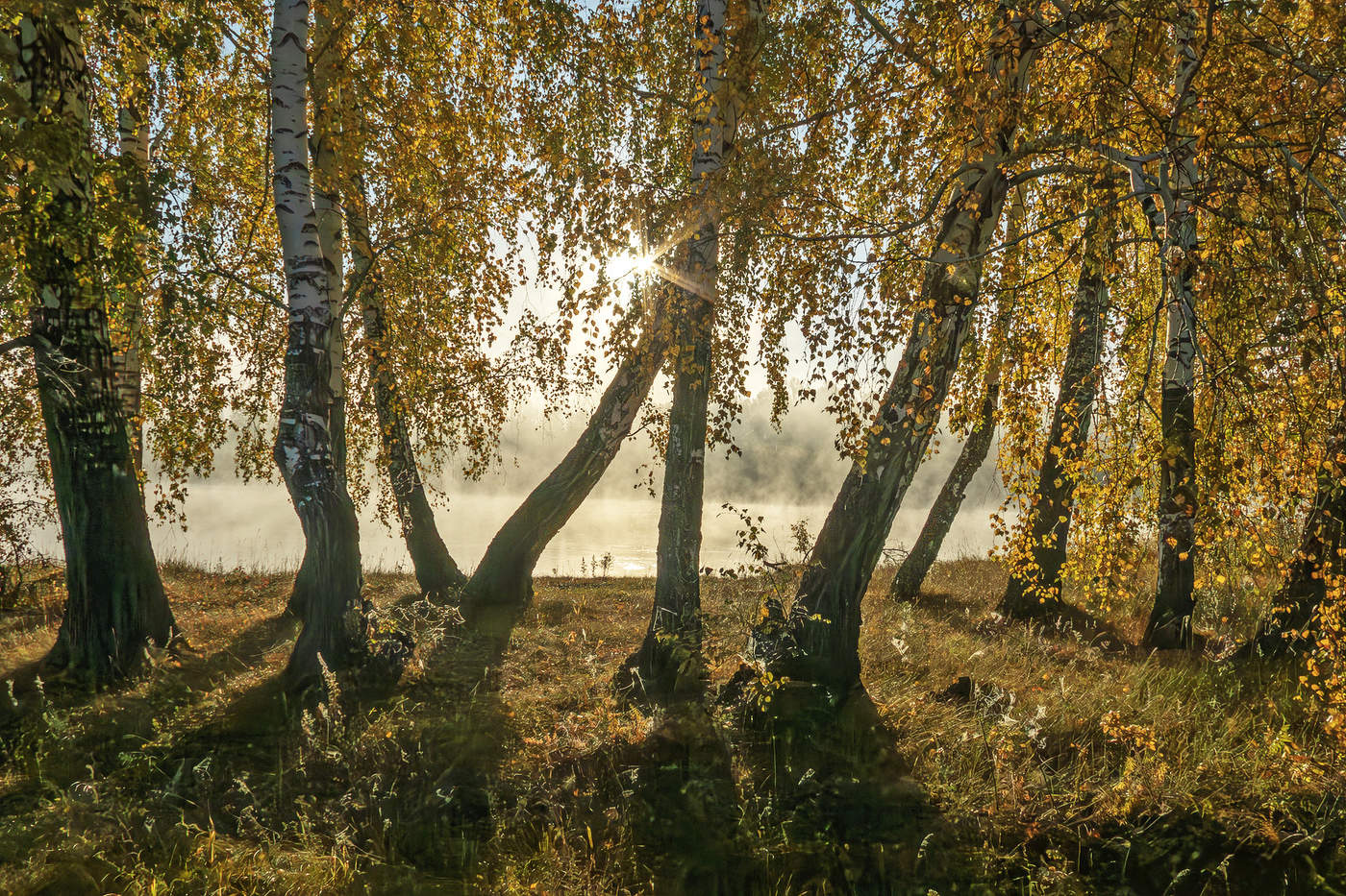 Осенняя прелесть