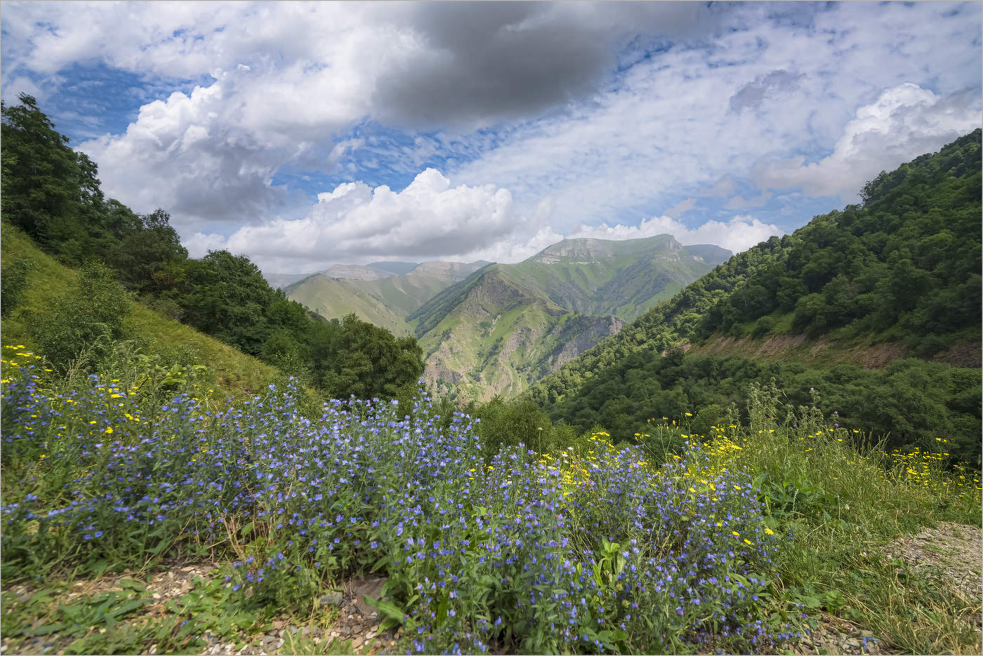 Лето в горах