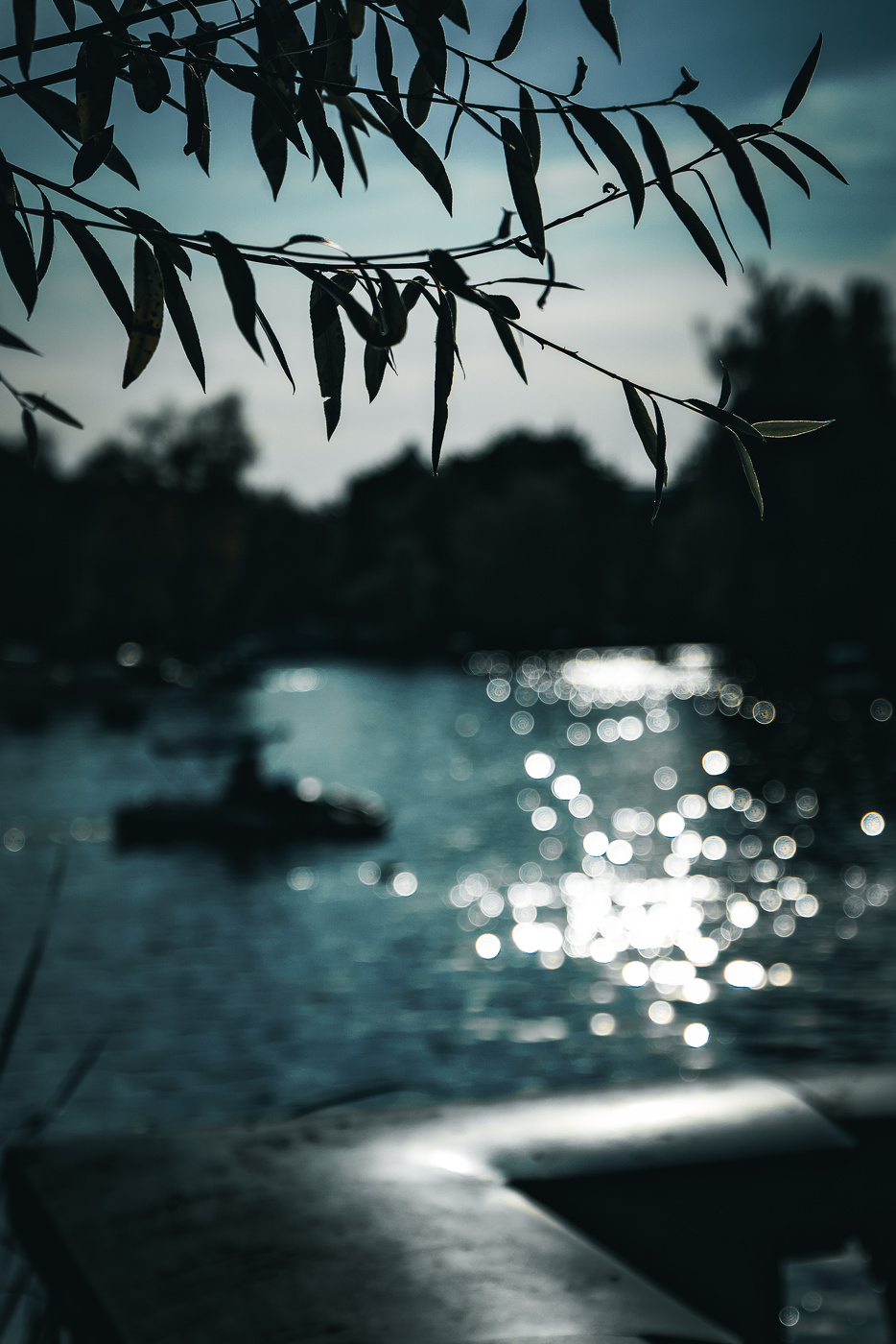 У Голицинского пруда