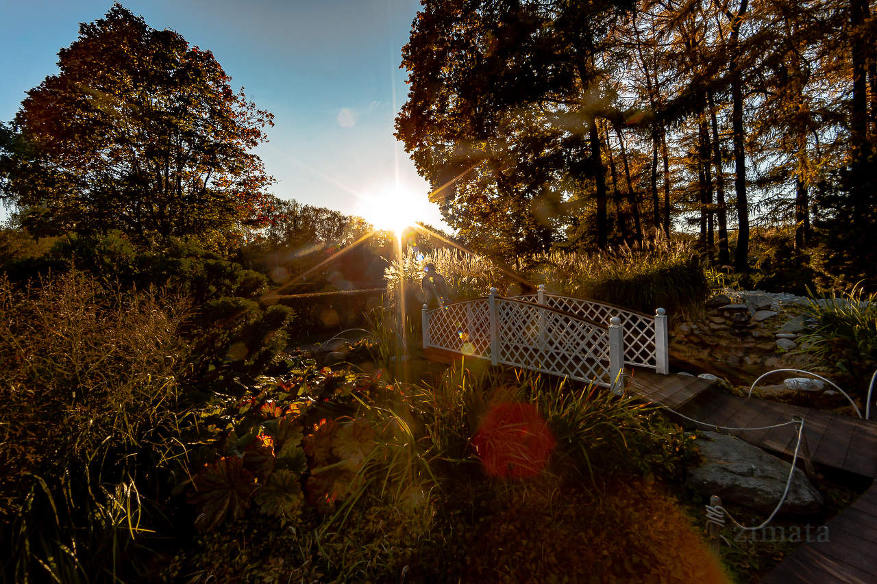 Осенние лучи