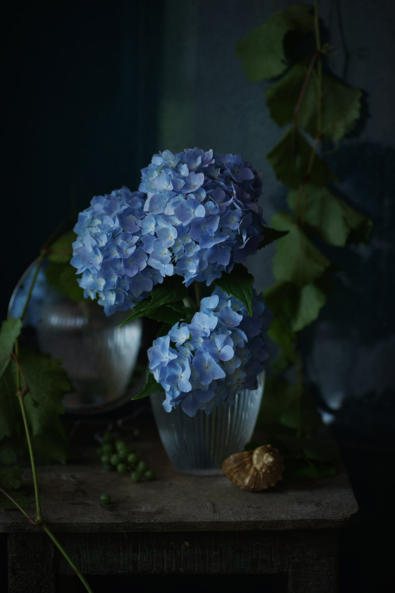 С голубой гортензией...