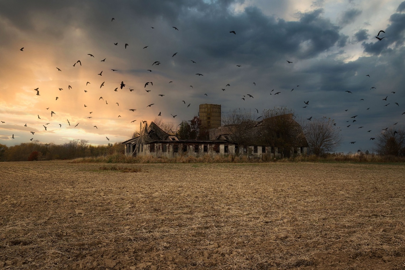 Заброшенная ферма